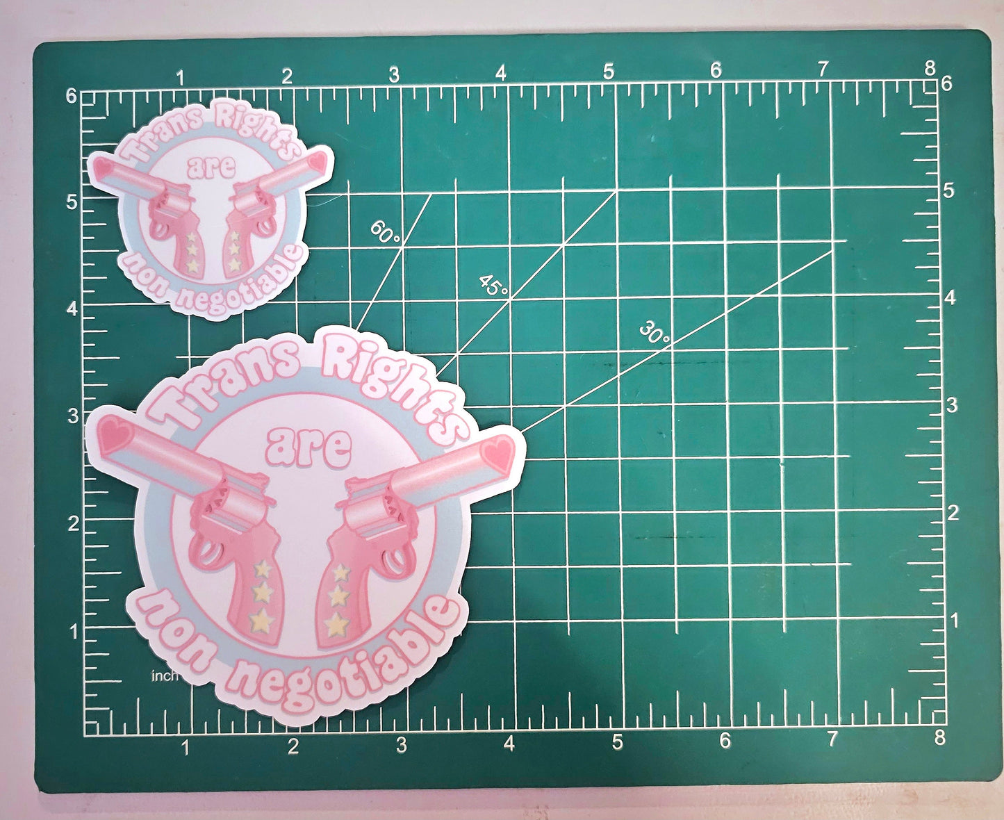 Trans Rights Sticker